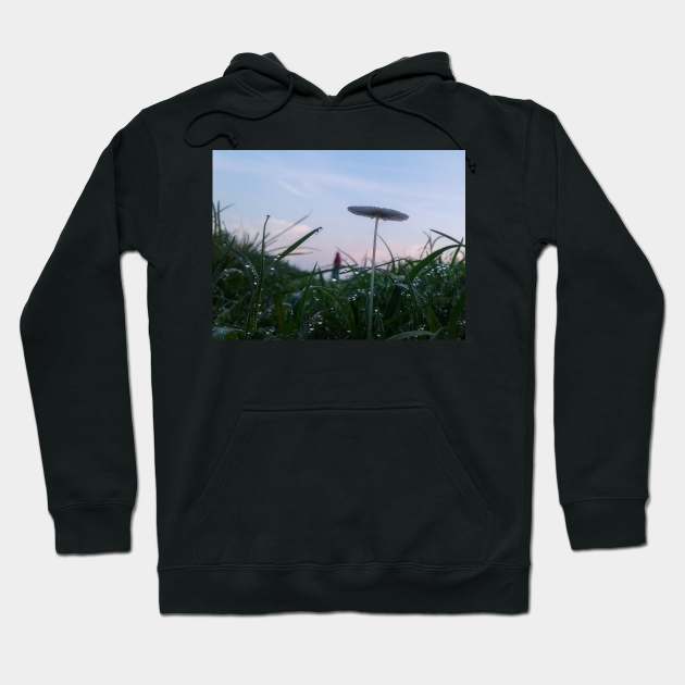 Mushroom And Morning Dew Hoodie by Vikinoko Micro Photography